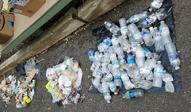 Items collected during a trash cleanup.